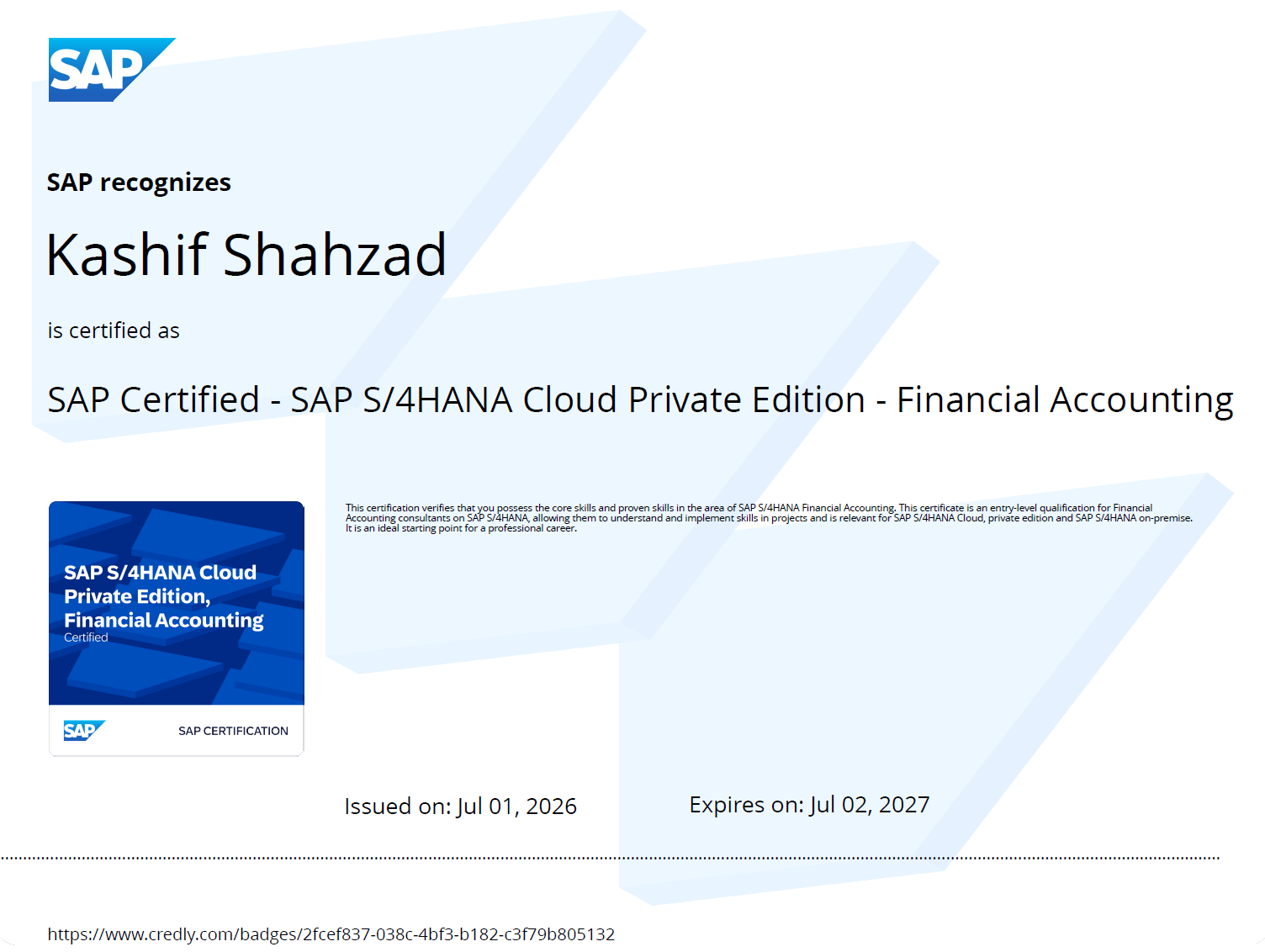 SAP Financial Accounting